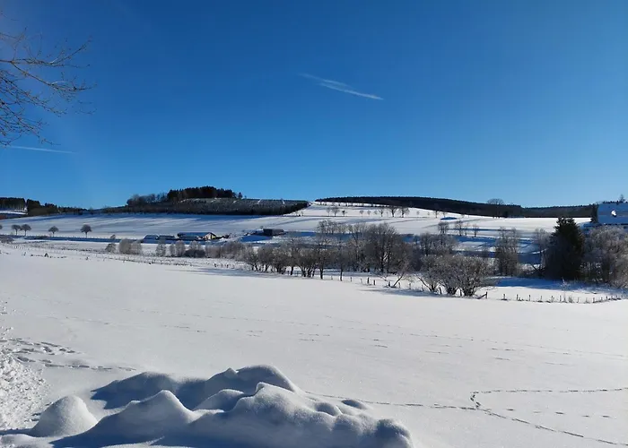 Franz-wilhelm * Winterberg